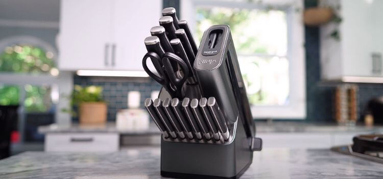 Self Sharpening Knife Block Pros And Cons