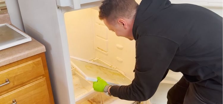 How to Clean a Bug Infested Refrigerator