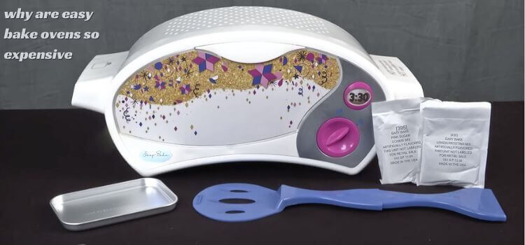 Why are Easy Bake Ovens So Expensive