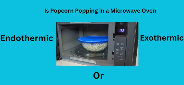 Is Popcorn Popping in a Microwave Oven Endothermic Or Exothermic