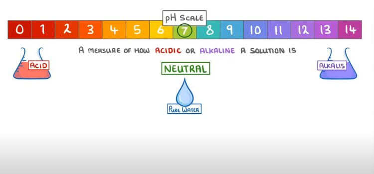 Ph Scale Overview