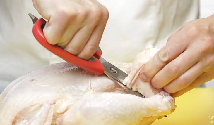 Key Differences Between Kitchen Shears and Scissors