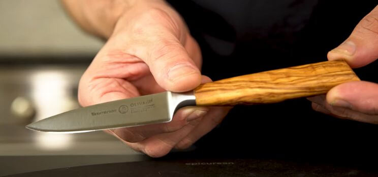 Paring Knife vs Chef Knife