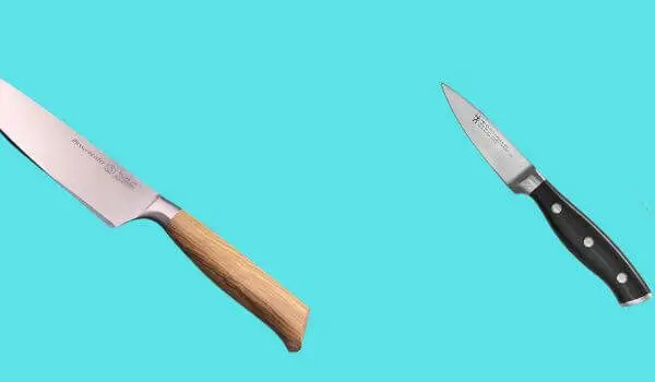 Paring Knife vs Chef Knife